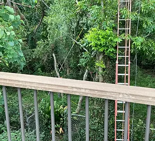 residential_tree_trimming_using_pole_saw_c2pa.webp