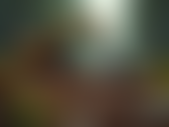 Efficient Land Clearing Services for Your Needs