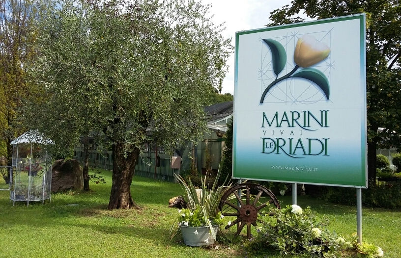Marini Vivai - Le Driadi