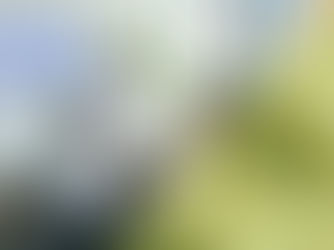 NAELAN Proposal Management