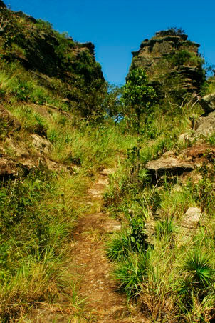 Morro São Jerônimo