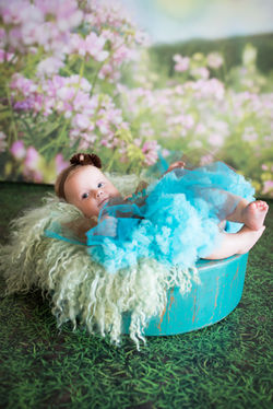 Baby photographer in new cairo egypt
