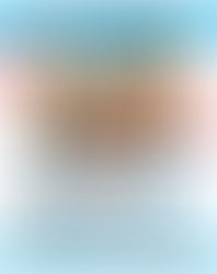 Il Primo Aggiornamento di Febbraio è online