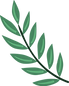Detoxification