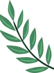 Plante