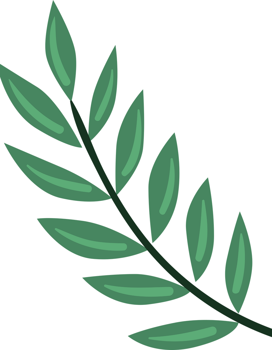Plante