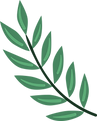 Plante       