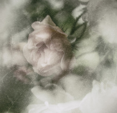 DSCF4414c.jpg