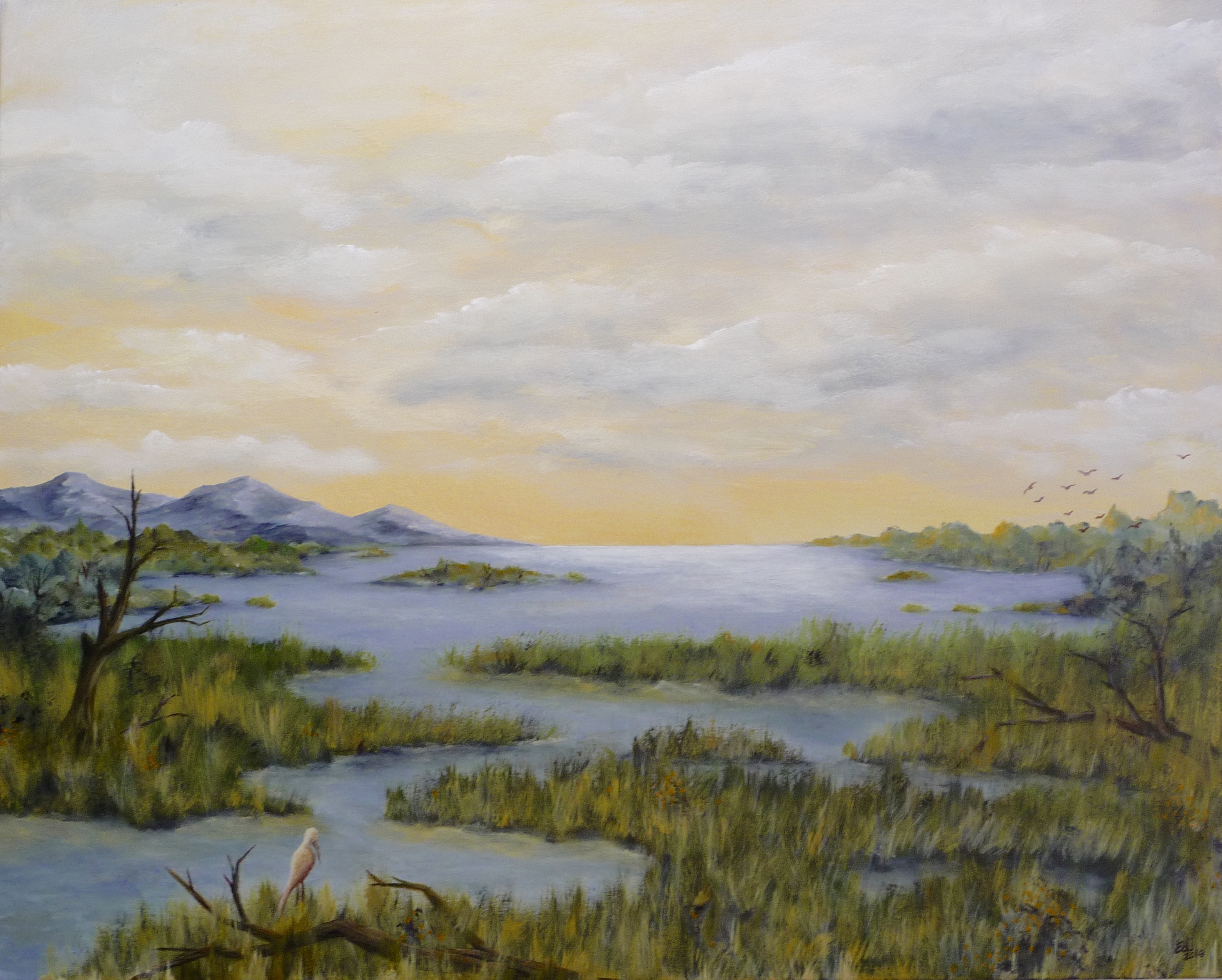 Bay Marsh at Route 37