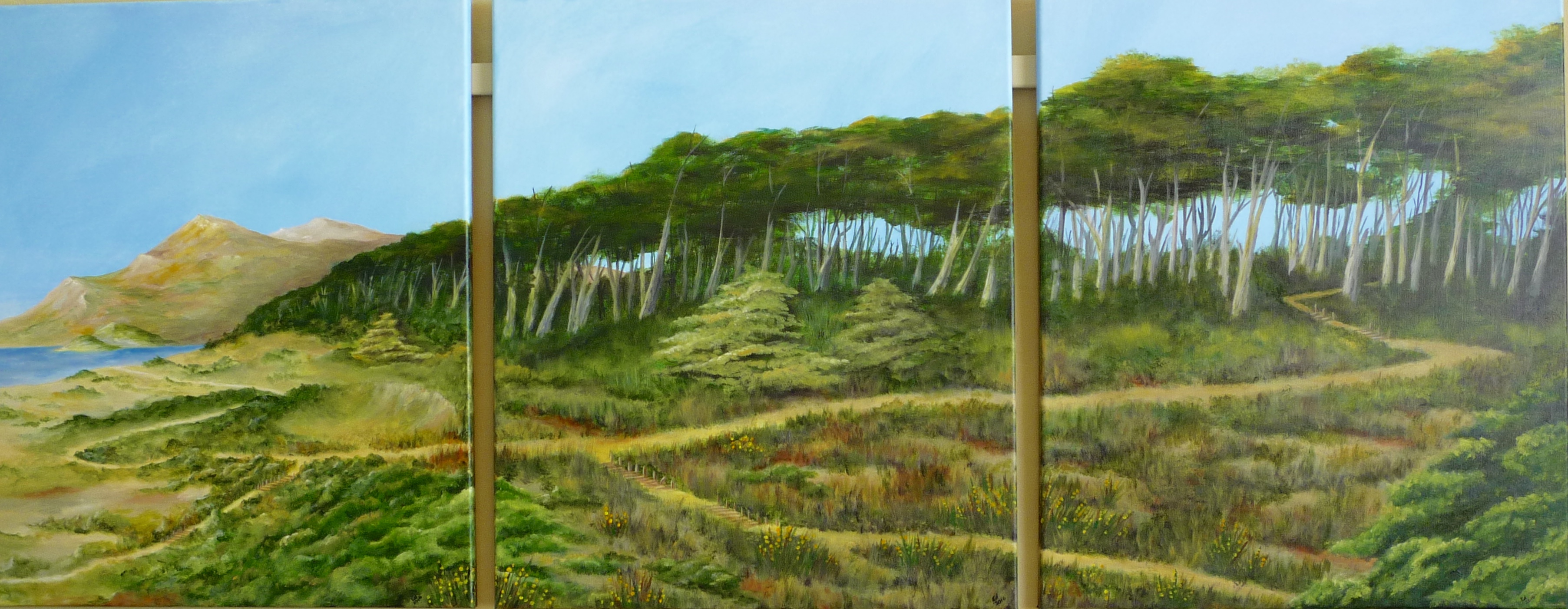 Trails at LandsEnd