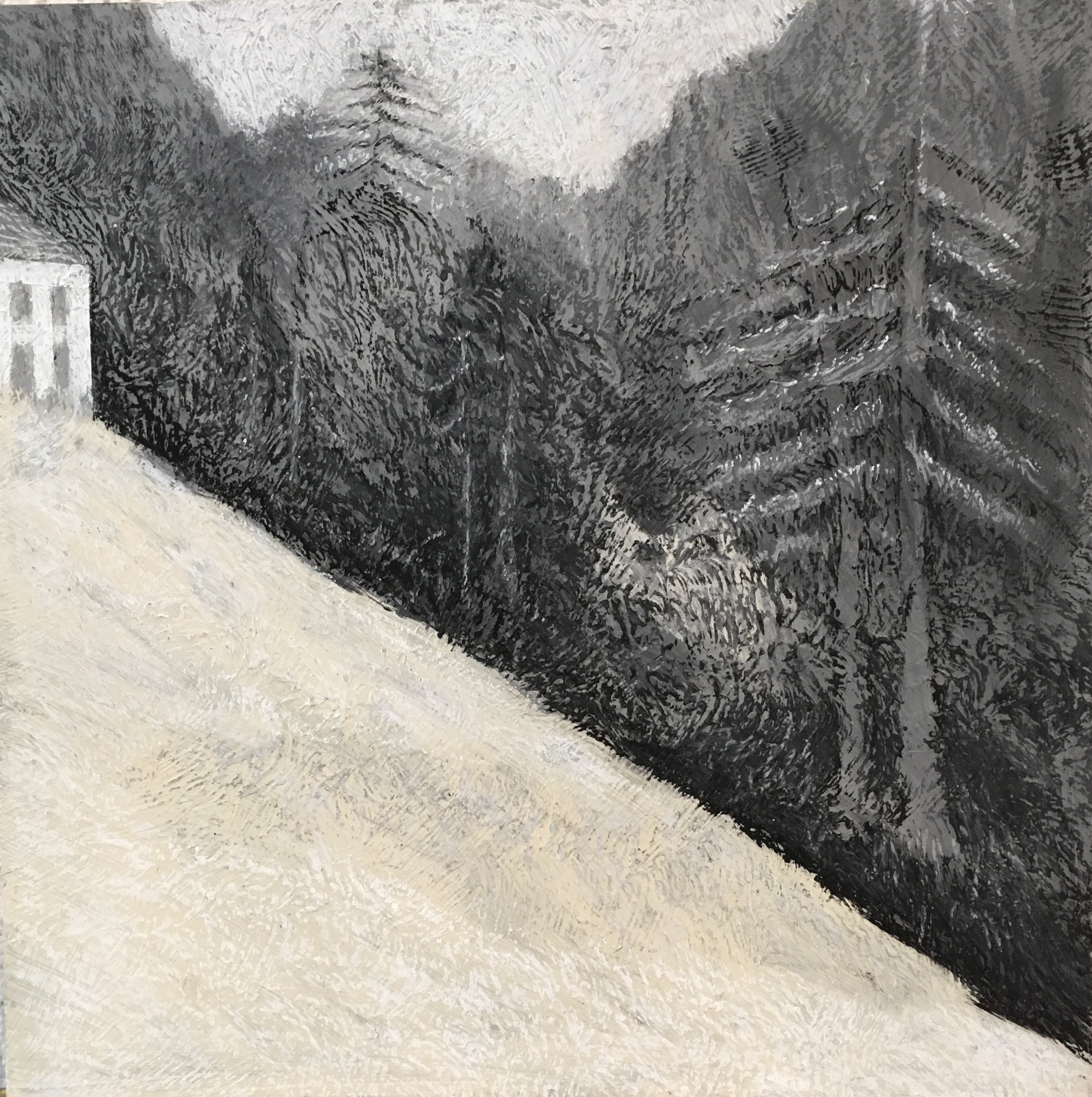 At the Edge of the Woods