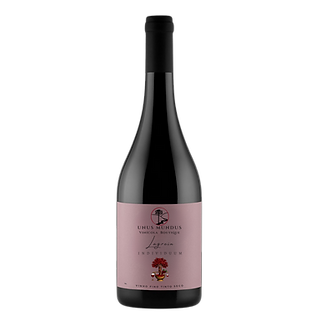 fotos garrafas (13).png