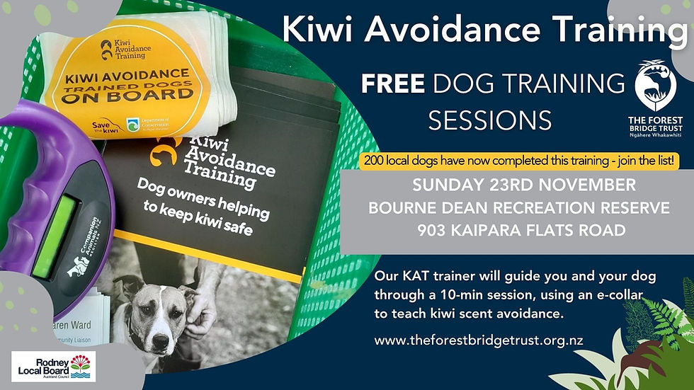 Free Kiwi Avoidance Training for Dogs