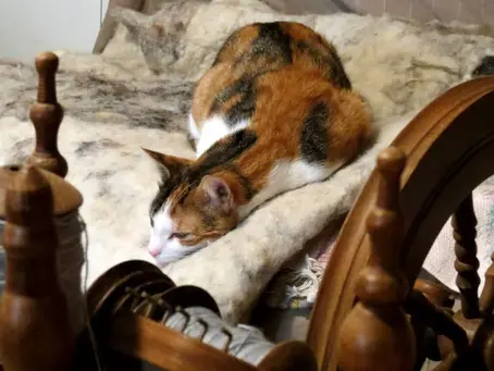                  Mijn oma was een geweldige vertelster