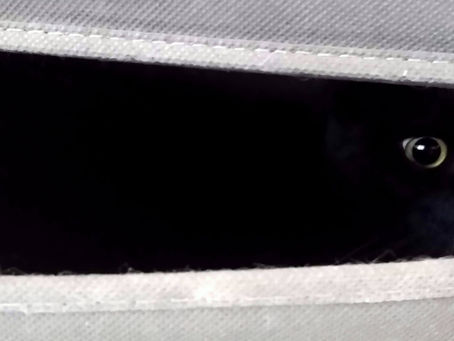                   Bang wat anderen van je vinden en denken?