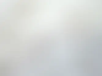   Sommige volwassenen zijn niet anders dan pestkinderen  