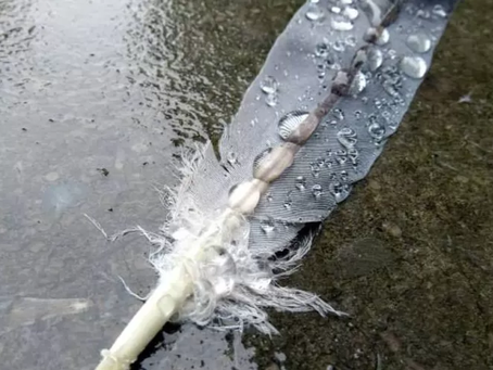 In het ziekenhuisbed: waar heb je spijt van?