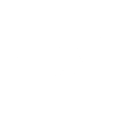 Untitled design (21).png