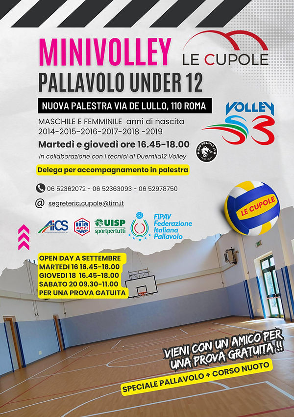 MINI VOLLEY - PALLAVOLO.jpg