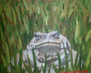 art68_edited.jpg