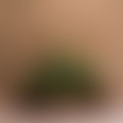 Notes for the Month: March - Awakening