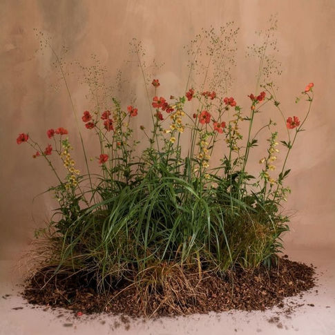 Notes for the Month: March - Awakening