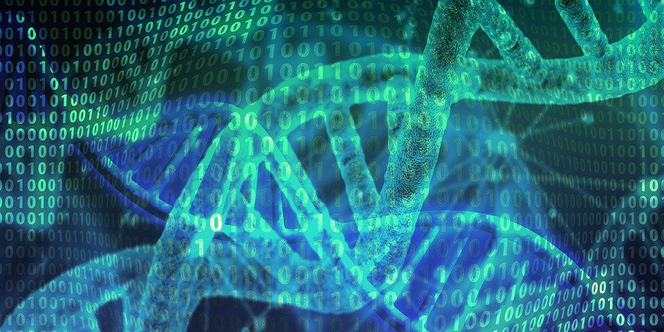 Bioinformatics: Biology, Computer Science and Statistics
