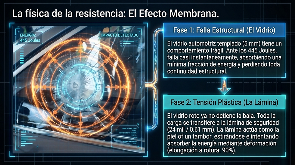 El gráfico explica el "Efecto Membrana" en vidrio automotriz, destacando la "Falla Estructural" y "Tensión Plástica" tras impacto.
