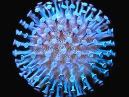 Você já está pronto(a) para ouvir o que é um vírus? 