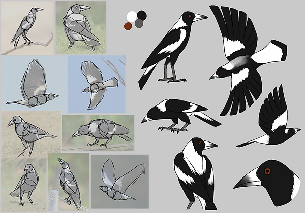 birdrgps_magpie1.png