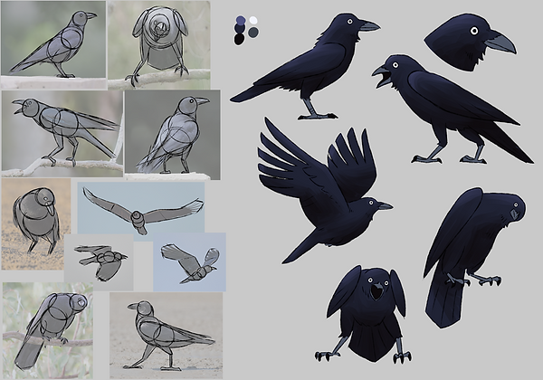 birdrgps_crow1.png