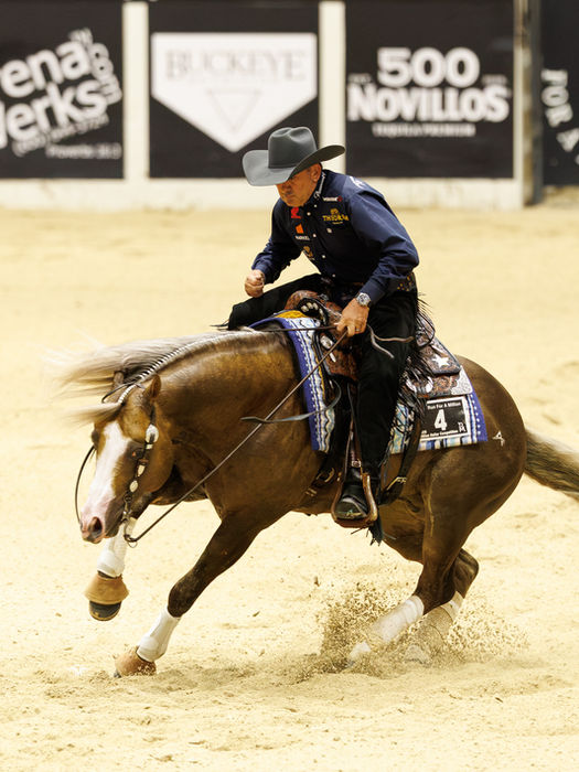 Alpha Viking 2021 AQHA PALOMINO STALLION with Andrea Fappani performing a spin in competition