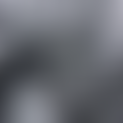 100% Silk Brocade Paisley Jacquard Silver and Black