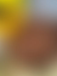  What Delicious Dish Are You Making?