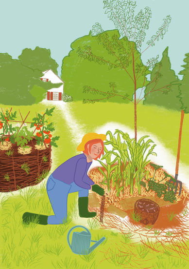 Illustration without words