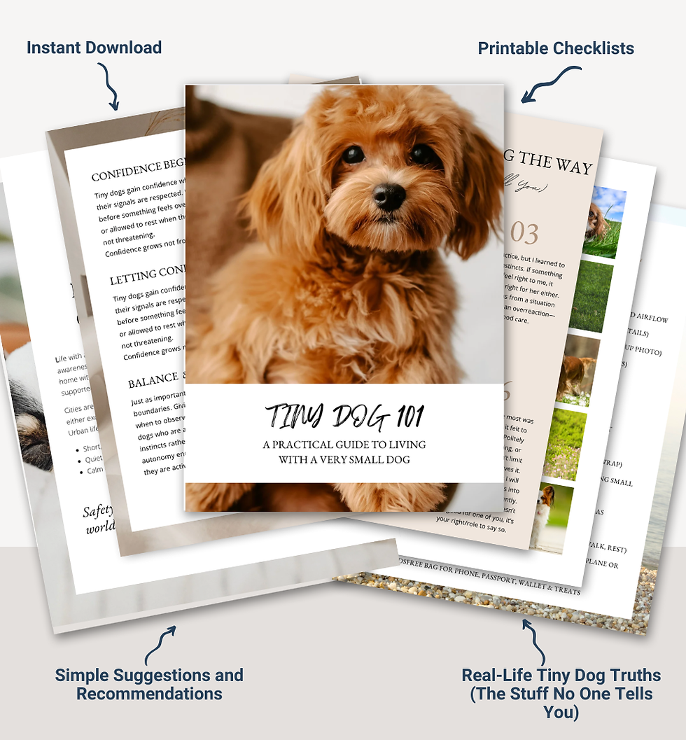 Tiny Dog Guide Mockup 2.PNG