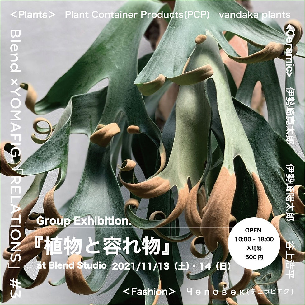 植物と容れ物@Blend Studio