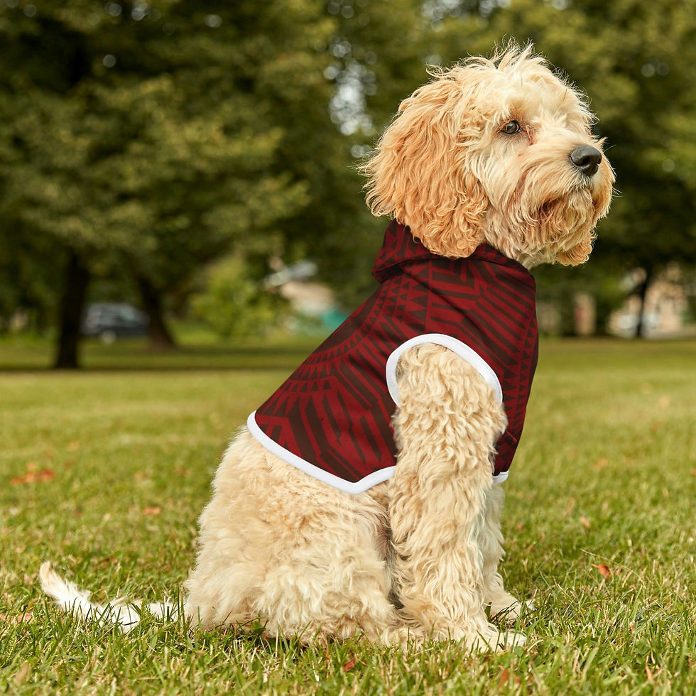 Thumbnail: PMT Dog Hoodie