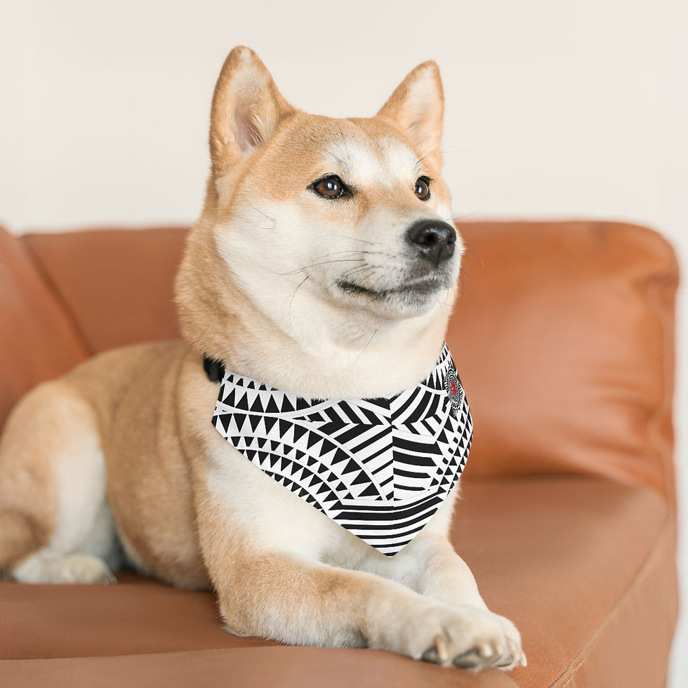 Thumbnail: Pet Bandana Collar