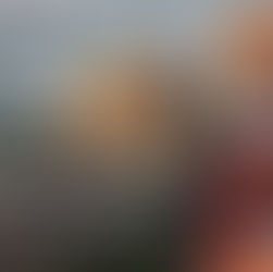 From Practical Knowledge to Spiritual Contemplation