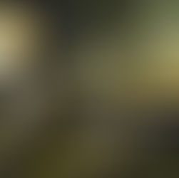 The Sacred Dialogue of Prayer