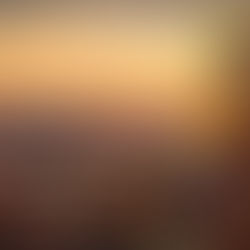 From the Darkness of Knowledge to the Sabbath of Sabbaths