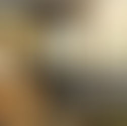 Why Was I Born Into This World?