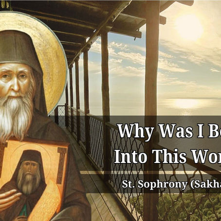 Why Was I Born Into This World?