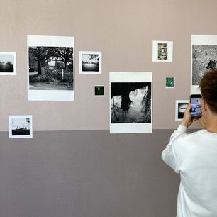 Nous n'irons plus aux bois