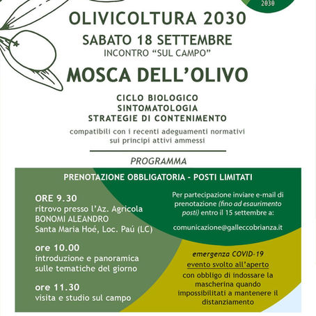 Sabato 18 settembre: incontro sul campo "Mosca dell'olivo" del Gal Lecco Brianza