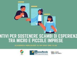 INCENTIVI PER SOSTENERE SCAMBI DI ESPERIENZE TRA MICRO E PICCOLE IMPRESE 