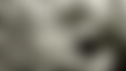 NIÑOS ARAUCANOS CREAN UNA APLICACIÓN CONTRA EL CIBERMATONEO