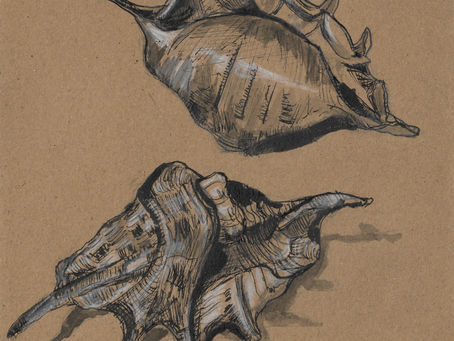 Shells