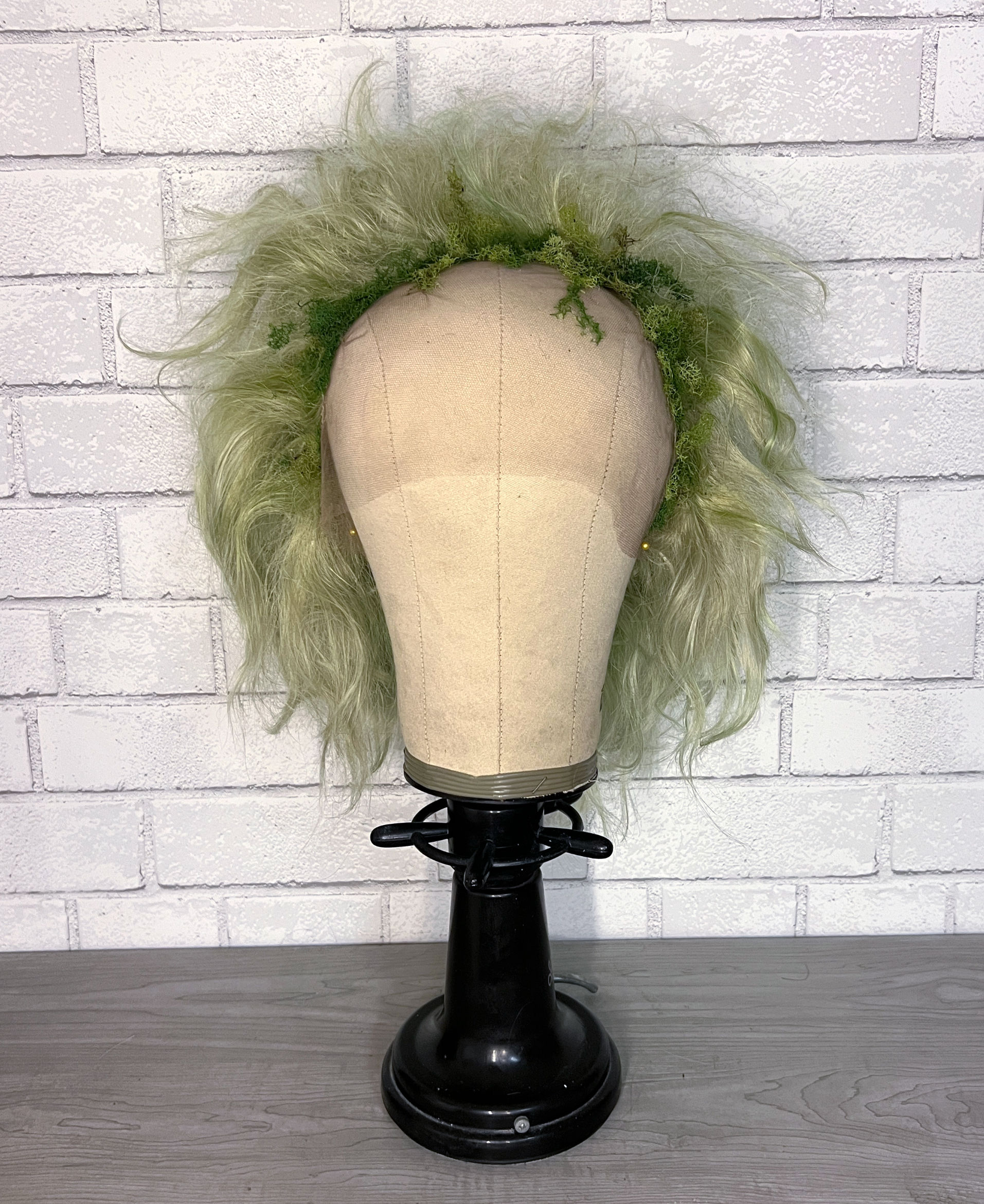 Beetlejuice Inspired Wig